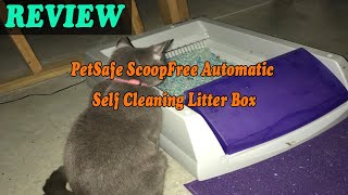 PetSafe ScoopFree Automatic Self Cleaning Litter Box  Review 2019 [upl. by Jeannine76]