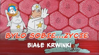 Bylo Sobie Zycie 🌱 Białe krwinki 🧘 [upl. by Ymled]