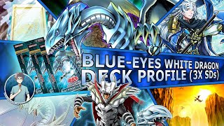 Blue Eyes White Dragon Deck Profile 2024  3x Asia English Structure Deck [upl. by Obed]