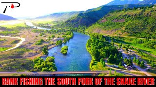 Bank Fishing the South Fork of the Snake River Idaho Not FLY FISHING [upl. by Lux]