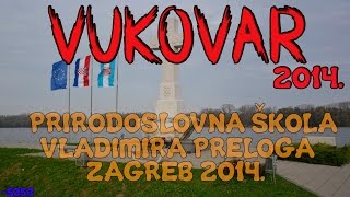 Ne Zaboravi Vukovar ❤  PŠVP Zagreb 2014  3j [upl. by Ludie]