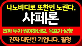 샤페론 주가전망 벌써 거래처 확보 완료 샤페론 투자 진짜 잘하네요 샤페론 샤페론주가전망 [upl. by Niad]