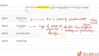 According to statolith theory a plant distinguishes up from down by means of [upl. by Ahders135]