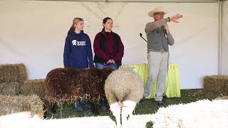 NY State Sheep amp Wool Festival Breed Talk Coopworth Sheep with Nick Pouder [upl. by Willet]