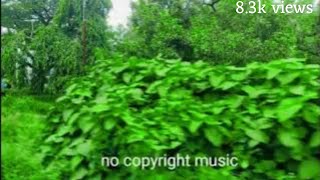 Background music  no copyright music Nocopiright [upl. by Erait]