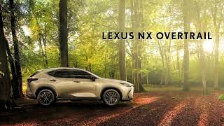 Introducing the new Lexus NX Overtrail [upl. by Rondon]