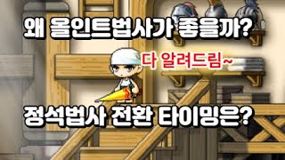 메이플랜드 올인트법사 얼마나 알고 계신가요 [upl. by Cirted746]