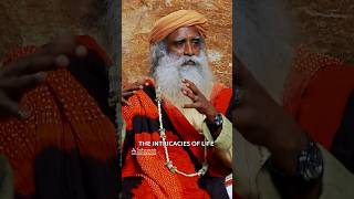 The True Purpose of Sadhana Sadhguru [upl. by Niletak]