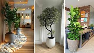 277 Increíbles iDEAS de PLANTAS PARA INTERIORES DE SALAS que decorarán de forma natural tu hogar [upl. by Anelav]