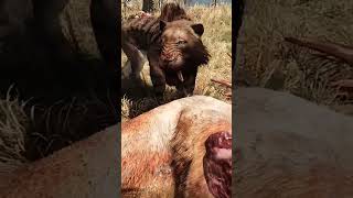 Look at the bloodfang sabretooth attack in far cry primal foryouviralshorts [upl. by Asum]