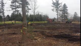 Land Clearing on Golf Course in South Jersey Closeup [upl. by Haisoj]