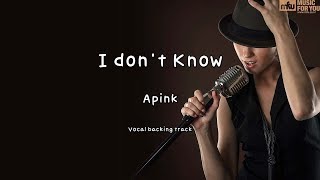 I dont Know  Apink Instrumental amp Lyrics [upl. by Ranitta]