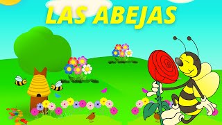 APRENDE sobre las abejas TODO sobre la abejaLA ABEJA para niñosCONOCE a la abeja POLINIZACIÓN [upl. by Solram]