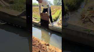 farminglifeinanotherworld satisfying video [upl. by Mota]