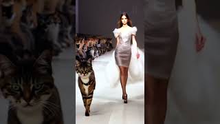 AI猫🐈モデルとランウェイを歩く amada870 ​⁠ aimovie 猫動画 猫 aicat cat shorts ランウェイ fashionshow [upl. by Spitzer]