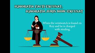 IGNORATIA FACTI EXCUSAT IGNORATIA JURIS NON EXCUSAT [upl. by Anirahs]