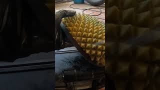 Air filter cleaning enduro ktm dirtbike [upl. by Selda]