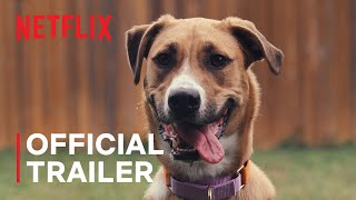 Inside the Mind of a Dog  Official Trailer  Netflix [upl. by Tomlinson]