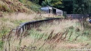 Nant Dyar Railway Viaduct and railway station [upl. by Toogood953]