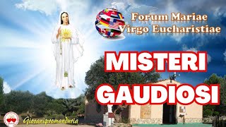 732024  SANTO ROSARIO MISTERI GAUDIOSI [upl. by Kellyn619]