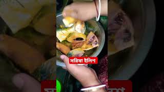 সরিষা ইলিশ একবার এইভাবে বানিয়ে দেখুন shorts fish bengalirecipes [upl. by Gnof]