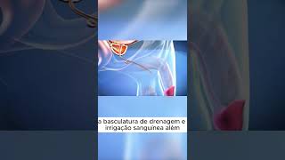 CIRURGIA DE MUDANÇA DE SEXO medicina shorts [upl. by Adnaval327]