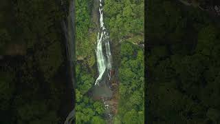 Hebbe Falls  waterfall naturelovers travelvlog explorenature [upl. by Whorton716]