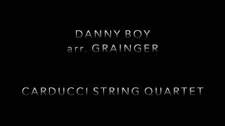 Danny Boy arr Grainger Carducci String Quartet [upl. by Arraeit]