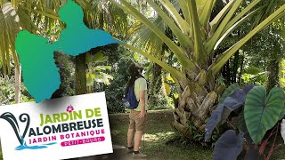 JARDIN de Valombreuse 971 Hortus en balade Ep6 [upl. by Alah]