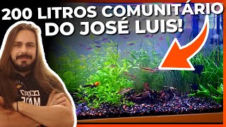 🔴AQUÁRIO COMUNITÁRIO DE 200 LITROS DO INSCRITO JOSÉ LUIS Mr Betta [upl. by Lazar]