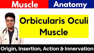 Orbicularis Oculi Muscle  Origin Insertion Action amp Innervation  Orbicularis Oculi in Hindi [upl. by Chapman663]