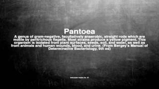 Medical vocabulary What does Pantoea mean [upl. by Brody]