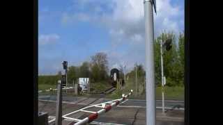 Steam Ivor the Engine  Wallingford level crossing May 2012 [upl. by Lubow]