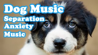 Soothing Music for Dog to Calm Down Relax amp Sleep  Dog Music Therapy Calming Aid for Relaxation [upl. by Armmat]