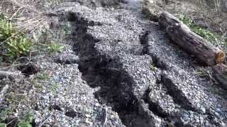 St Lawrence to Binnel Bay footpath  2014 Landslip  Isle Of Wight [upl. by Monteria472]