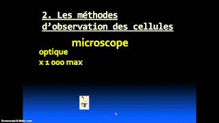 Les différentes cellules [upl. by Lebam]