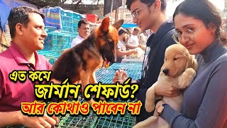 Galiff Street Pet Market Kolkata  dog market in kolkata  Dog Price  Gallif street kolkata  Dogs [upl. by Giltzow]