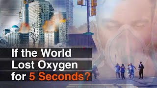 What If the World Lost Oxygen for Five Seconds  Science Documentary  Meta Magics [upl. by Halette]