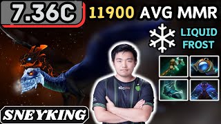 736c  Sneyking JAKIRO Hard Support Gameplay  Dota 2 Full Match Gameplay [upl. by Laurice]