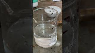 Reaction of Na with H2O experiment science shortsviral waterchemistry viralvideo shortsreact [upl. by Lamarre]