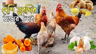 wild duck farming 😊 দেশি মুরগির ঠান্ডার ঔষধ farm osud chicken [upl. by Jeremiah]