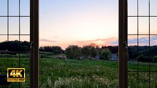 4K Countryside Evening Ambience Window view with Nature Sounds  Relaxing Calming Sunset [upl. by Ttegirb]