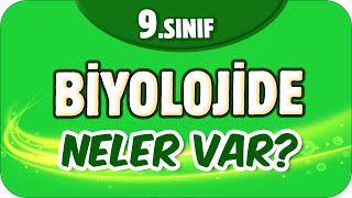 9 Sınıf Biyolojide Neler Var Biyoloji Dersine Nasıl Çalışır  🤔 [upl. by Asilec]