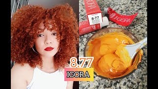 TESTEI A TINTA IGORA 877 🔥 RUIVA EM CASA 🧡 [upl. by Ecinahs312]