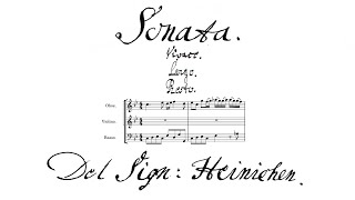 Johann David Heinichen  Trio Sonata in C minor S258  Score Video [upl. by Hcib]