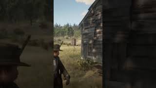 Beechers hope in red dead online [upl. by Rentsch]