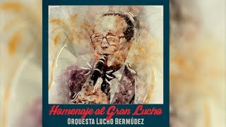 Homenaje al Gran Lucho  Orquesta de Lucho Bermúdez [upl. by Fidela]