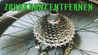 Zahnkranz  Zahnrad  Kassette  ENTFERNEN vom HINTERRAD  FAHRRAD  Schnell und Einfach [upl. by Nevuer]