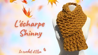 Comment faire une écharpe au crochet avec un point relief  Lécharpe Shinny ⭐ [upl. by Amitie]