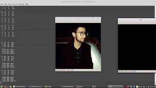 Image masking python opencv [upl. by Sirapal83]